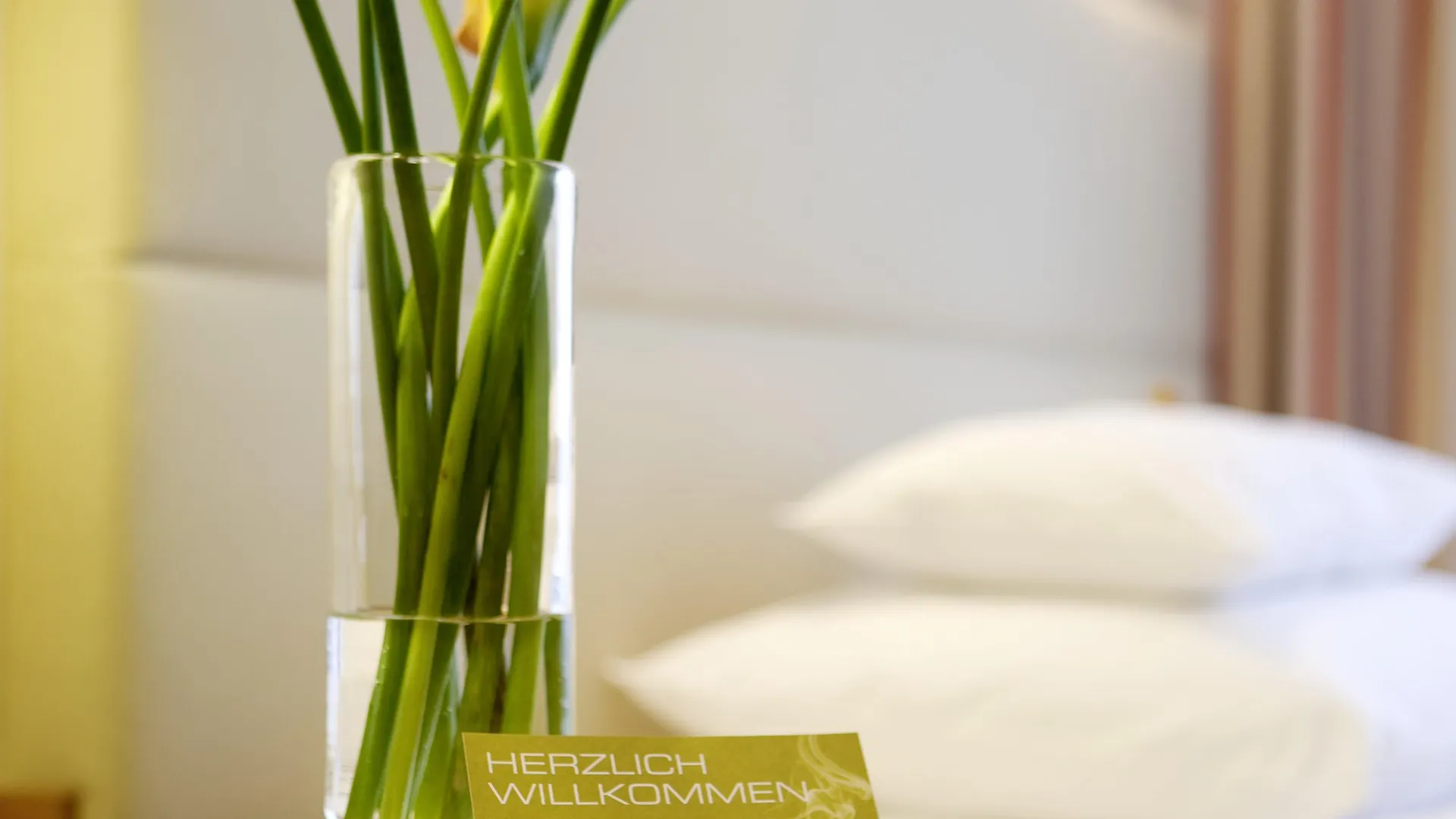 Boutique Hotel Das Tigra Vienna